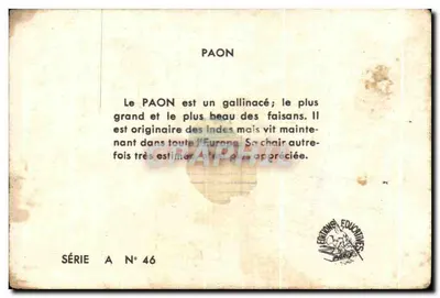 O pavão — série A n° 46 — Éditions Éducatives Paris — Verso
