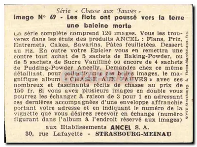Polowanie na wilki — fale przesunęły na ląd martwą baleinę — ANCEL S.A. (seria nr 69) — Rewers
