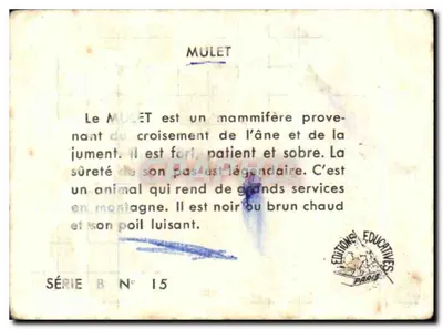 Mulo — Onderwijs — Educatieve Uitgaven Parijs, Serie B N°15 — Achterkant