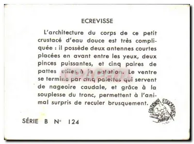 Kleszcz — karta edukacyjna — Éditions Éducatives Paris, seria B n° 124 — Rewers