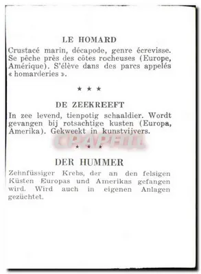 O caranguejo — O zeekreeft — Der Hummer — carta ilustrada multilingue — Verso