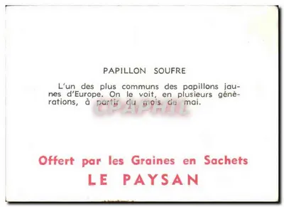 Papillon Soufré — ilustracja z krajobrazem — wydawca LE PAYSAN — Rewers