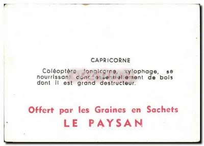 Capricorne — Coleoptero xilófago — Ofertado por Les Graines en Sachets LE PAYSAN — Verso