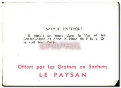 Satyra epistyka — motyl — wydawca LE PAYSAN, numer seryjny nieodczytalny — Rewers