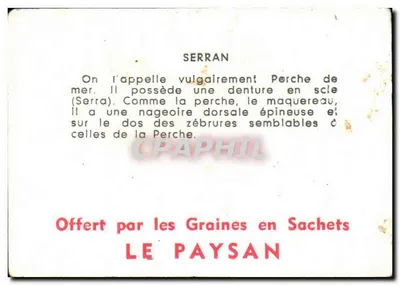 Serran — peixe marinho — oferecido pelas Sementes em Saco LE PAYSAN — Verso