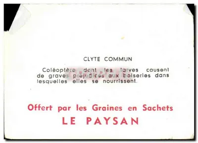 Clyte comum — Coleoptera prejudicial — Oferecido pelas Sementes em Saco LE PAYSAN — Verso