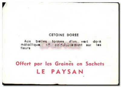Złota żucznia — ilustracja — «Graines en Sachets LE PAYSAN» — Rewers