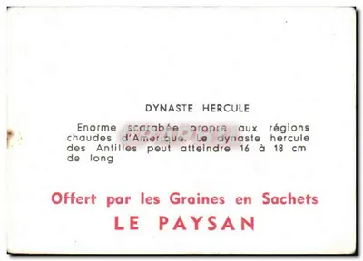 Dynaste Hercule — inseto — editor LE PAYSAN, número de série não visível — Verso