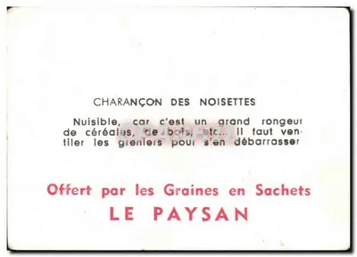 Caruncho das nozes — ilustração — Ofertado por Sementes em Sacos LE PAYSAN — Verso