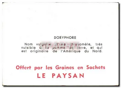 Doryphore — szkodliwy owad — oferowana przez nasiona w workach LE PAYSAN — Rewers