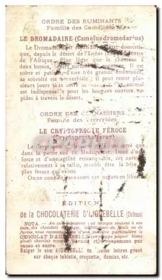 Afrika — Chamaleon en Dromedar — Uitgave van de Chocolatfabriek van Aiguebelle (Drôme) — Achterkant