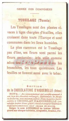 Tussilage — Gênero das compostas — Edição da Chocolaterie d'Aiguebelle (Drôme) — Verso