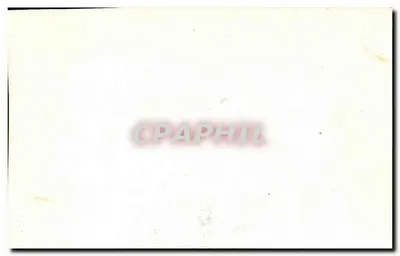 Sparus de Cussatus — ryba morska — karta kolekcjonerska — Rewers