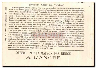 Aves nadadoras — H. Paris (Depositado N°133) — Pl. 56 — Verso