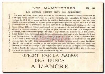 Cena de grupo em trajes tradicionais — H. Paris (Depositado N° 133) — Pl. 10 — Verso