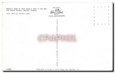 Norfolk Azalea Gardens — Virgínia — Publicado por Frank G. Ennis Paper Co., Norfolk, Va. — Verso