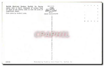 Norfolk Municipal Gardens — azaleias em flor — Publicado por Frank G. Ennis Paper Co., Norfolk, Va. — Verso