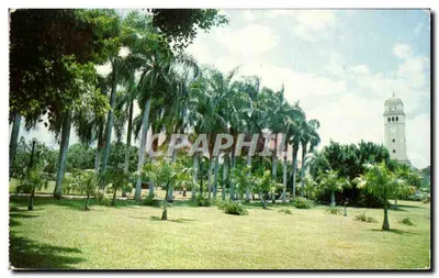 Campus da Universidade do Porto Rico — Torre U.P.R. no fundo — Pub. por Matas Photo Shop, San Juan, P.R.