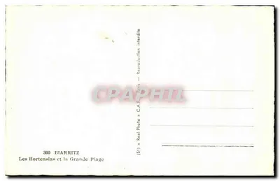 Biarritz — De Hortensia's en de Grande Plage — C.A.P. Parijs nr. 300 — Achterkant