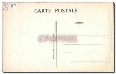 Cattedrale di Chartres — Portale Nord — Cavaliere con il suo falco (XIII secolo) — Verso