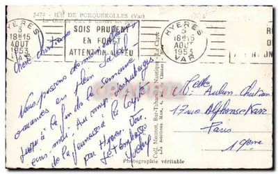 La Grande Cale a través de los pinos — Isla de Porquerolles (Var) — IRON — Reverso