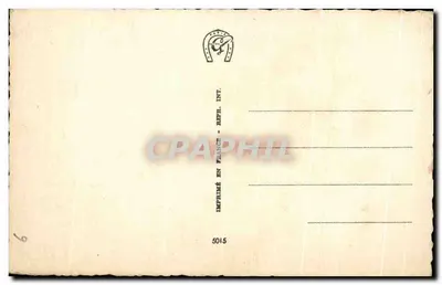 겨울 풍경 — 눈 덮인 집과 소나무 — 텍스트 '메리 크리스마스' — 번호 5015 — 뒷면