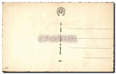 Natal — decoração de visco e neve — 5011 — Verso