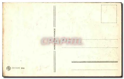 Tulipany — Urodziny — Charme 810 — Rewers