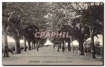 Ventimiglia - Pasek z palmami do morza — wydawca G. Gallo, nr 17