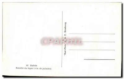 Zbieranie legmi (winorośl z palm) — Gabès — 'Real-Photo' C.A. P. Strasbourg — Rewers