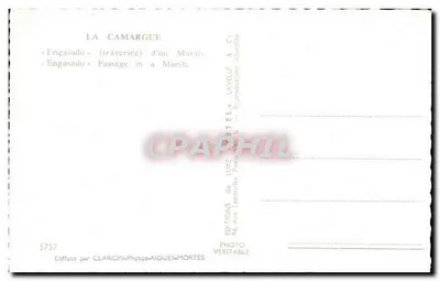 La Camargue — Doorrijden door een moerassige plek — Uitgever: Photo Stel — Achterkant