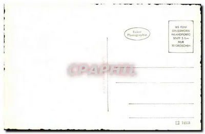 Oświetlone drzewo choinkowe przed zimnym budynkiem — 74333 — Rewers