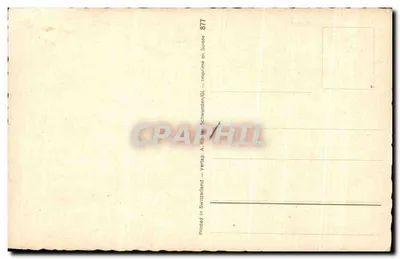 Kurczak komiczny — karykatura humorystyczna — A. Kliwer, n° 877 — Rewers