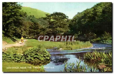 Dovedale, perto dos Doze Apóstolos — Série Cameracolour — J. Salmon Ltd.