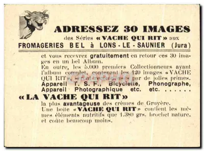 Amboise — Zamek (XVI wiek) — Ogólny widok — Rewers