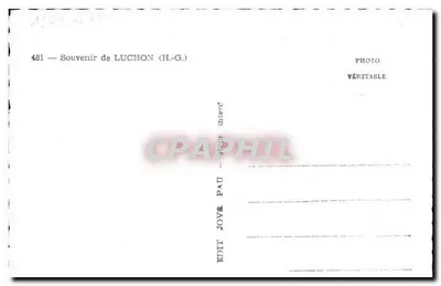 Luchon — widok panoramiczny, hotel, figura, jezioro z łabędziami — Wydawca Jové Pau, nr 481 — Rewers