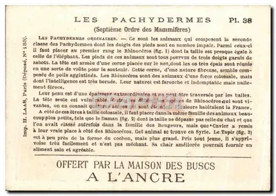 Os Pachydermes — Rinoceronte, Daman, Tapir — Pl. 38 — H. Laas, Paris — Verso