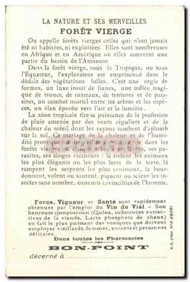 Floresta virgem (América) — A Natureza e suas Maravilhas — Bon-Point — Verso