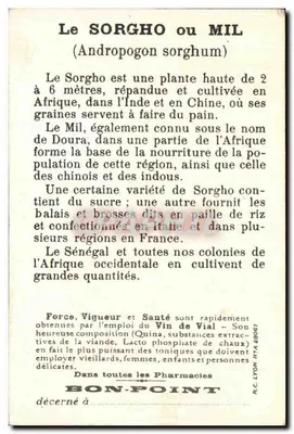 Battagem e moagem do sorgo — África Francesa Ocidental — Bon-Point — Verso