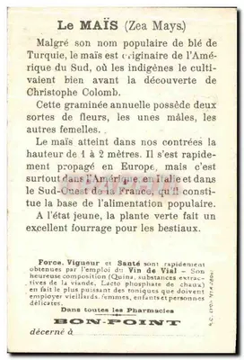 Kukurydza — W wielkich uprawach — Bon-Point — Rewers