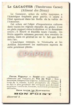 O Cacau — Secagem das sementes de cacau no Veneza — Bon-Point — Verso