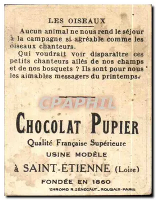 Linottes — série de aves — Chocolate Pupier — Verso