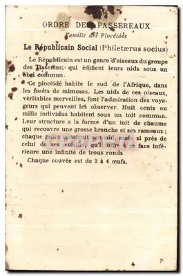 Ptaki i Gniazda — Le Républicain — Wydawca: Le Républicain — Rewers