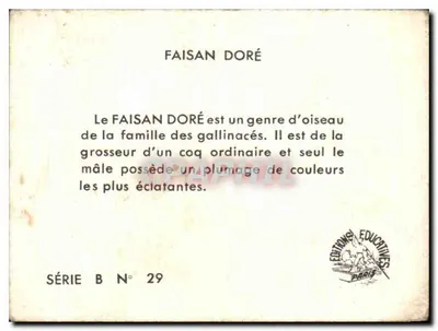 Faisan — Série B N° 29 — Éditions Éducatives Paris — Verso