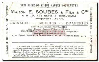 एक चावल के खेत — विदेशी पौधे — घर E. Soubes & Fils & Cie, बोर्डेलॉन — पीछे