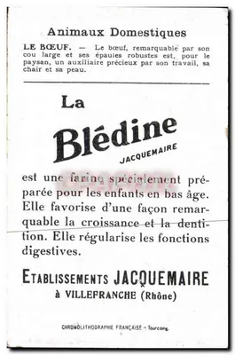 Byk — Zwierzęta domowe — La Blédine de Jacquemaire — Rewers