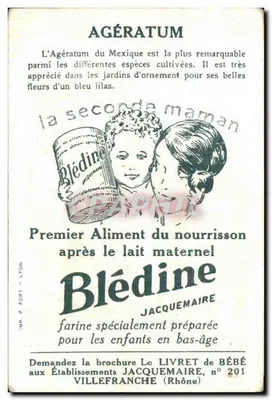 Agératum — Roślina lecznicza i ozdobna — Blédine, wydawca JACQUEMAIRE, nr 201 — Rewers