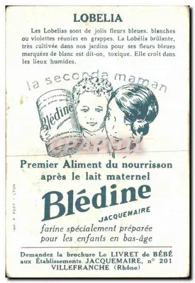Lobelia — Roślina lecznicza i reklama dla Blédine — Wydawca Jacquemaire — Rewers