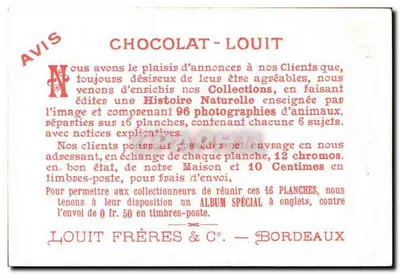 Ibis — Chocolate-Louit — Louit Frères & C°, Bordeaux — Verso