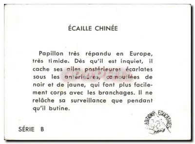 Escama chinesa — Editor: Éditions Éducatives, Paris — Série B — Verso